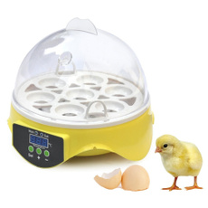 poultryincubator, Mini, egghatcher, poultryhatchery