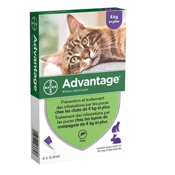 Vermifuge Advantage 80 4 Pipettes Antiparasitaires Pour Chat Et Lapin De 4kg Et Plus Wish