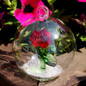 thumbnail - 13