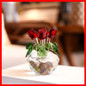 thumbnail - 7
