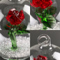 thumbnail - 8