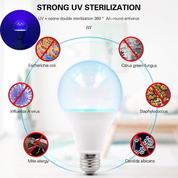 UV Germicidal Light UVC Lamp Timer  UV Disinfection Light Bulb with R — G6  Wellness