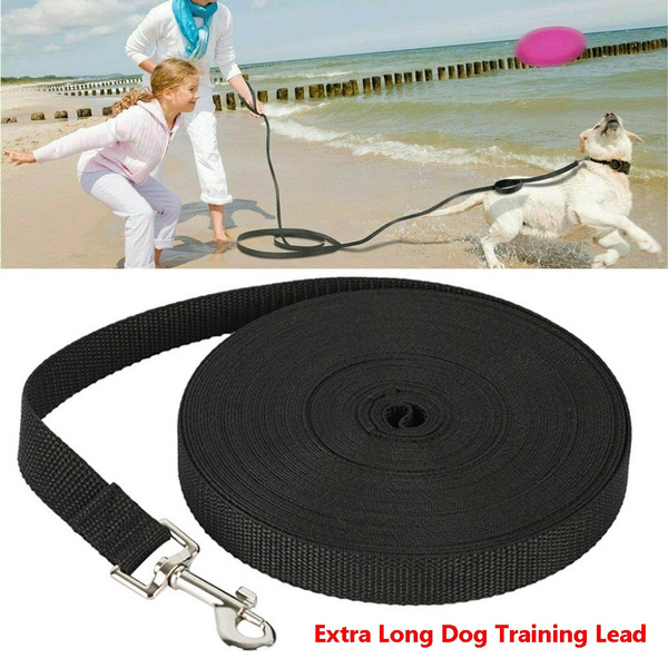 really long dog lead