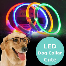 Dog Collar, ledsafetycollar, Pets, ledflashingdog