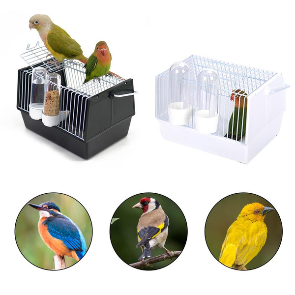 Parrot transport outlet cage