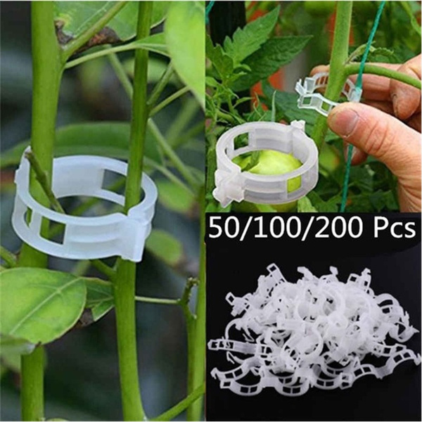 100 Plastic Plant Clips Garden Support Clasp for Stems Stalks Vines Grow Upright 