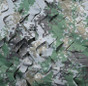 thumbnail - 17