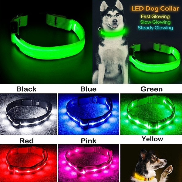 flash dog collar