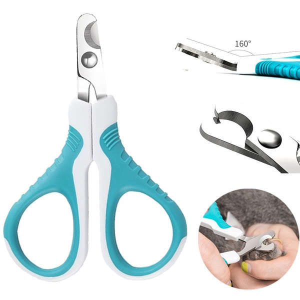 Coupe Griffes Chat Coupe Ongle Chat Coupe Griffe Coupe Griffe Chat Griffe Chat Griffe De Chat Coupe Griffe Lapin Wish Coupe Griffes Chat Coupe Ongle Chat Coupe Griffe Coupe Griffe Chat Griffe Chat Griffe De Chat Coupe Griffe Lapin Wish