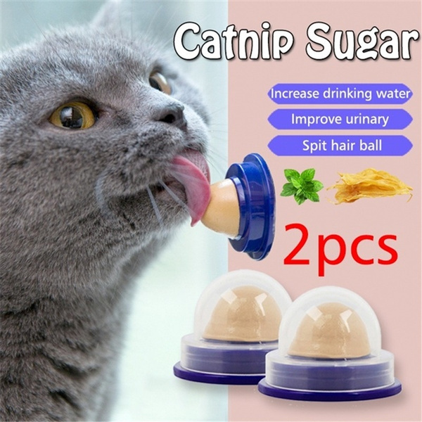 catnip sugar