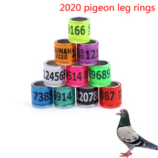 8MM, pigeontraining, legring, identifying