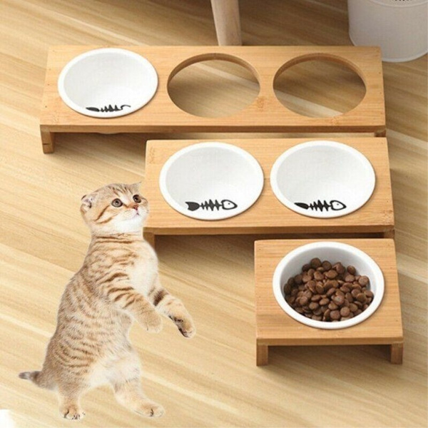 3 dish cheap cat feeder