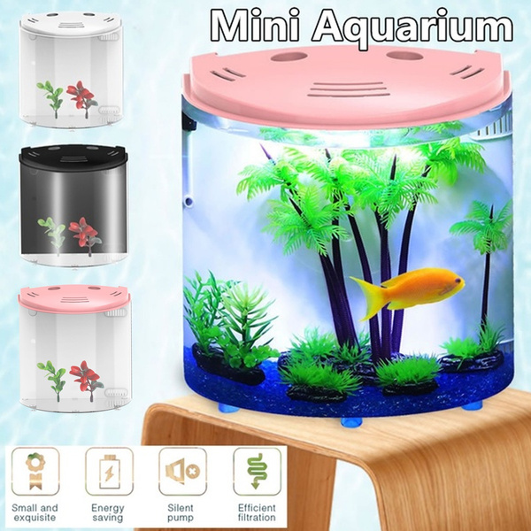 wish fish tank