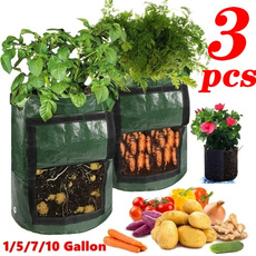 Plants, Flowers, potatobag, vegetabletool