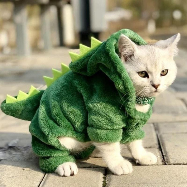 funny cat clothes