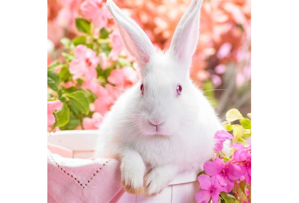 Diamond Painting White Rabbit with Pink Eyes Diy Diamond Painting  Embroidery Home Decor