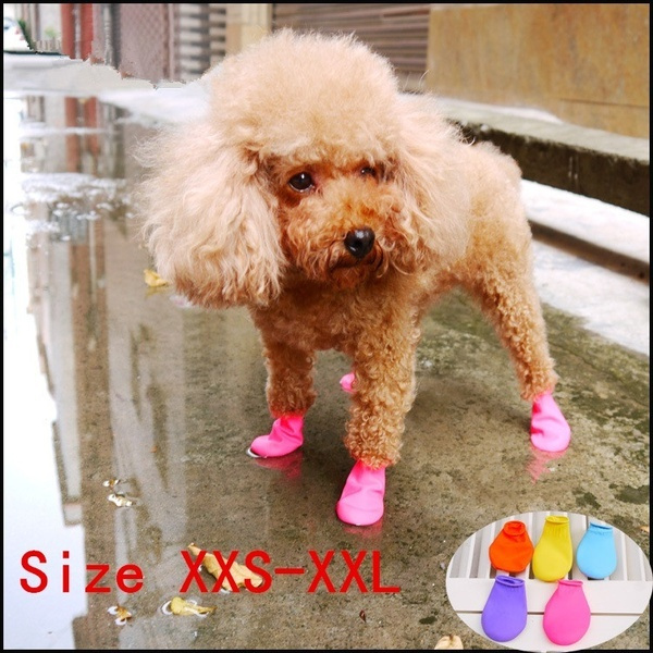 Xxs clearance dog shoes