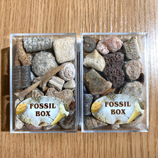 Fossil, fossilspecimen, crystalspecimen, decoration