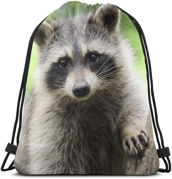raccoon bolsa