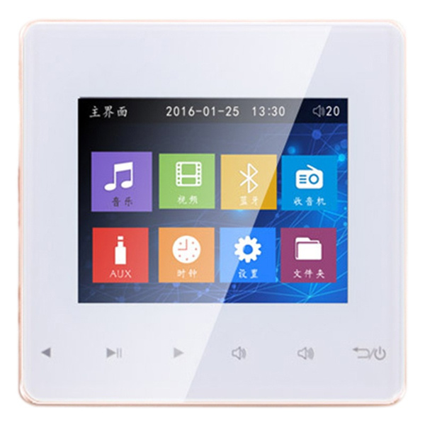 Bluetooth Smart Control Music System Ceiling Speaker Modules Home Audio