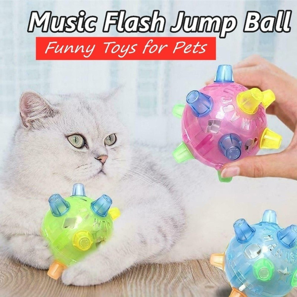 jumping ball dog toy