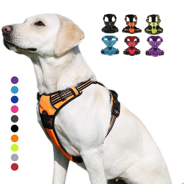 Wish shop dog harness