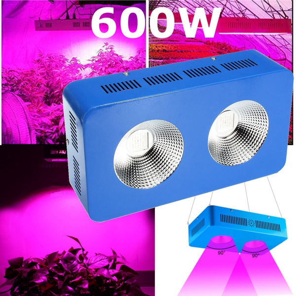 cob led 600w