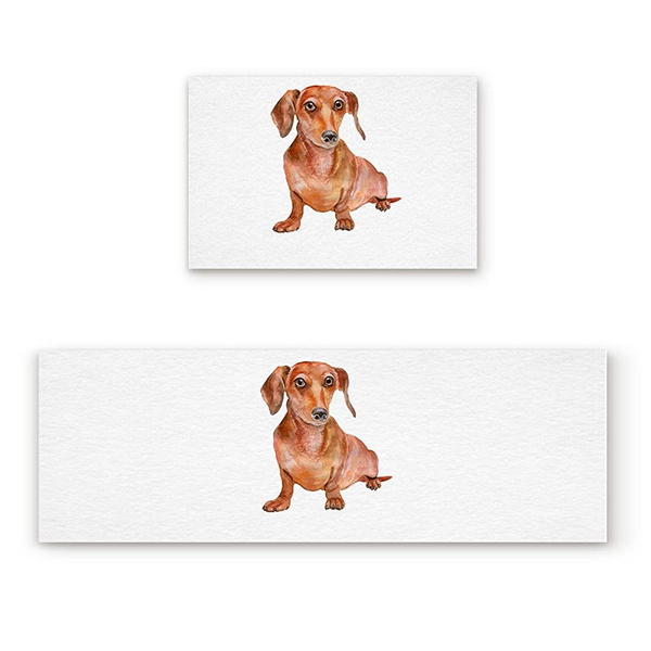 Wyfcqpyj 2 Piece Kitchen Mat Set Doormat Cute Dachshund Runner Rug Set Hallway Living Room Balcony Bathroom Carpet Sets 16 X 24 Inch 16 X 48 Inch 40 X 60cm 40 X 1cm Wish