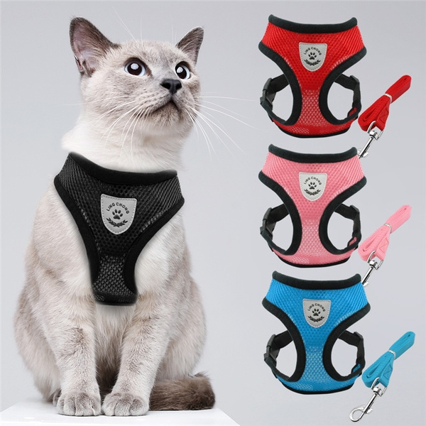 wish cat harness