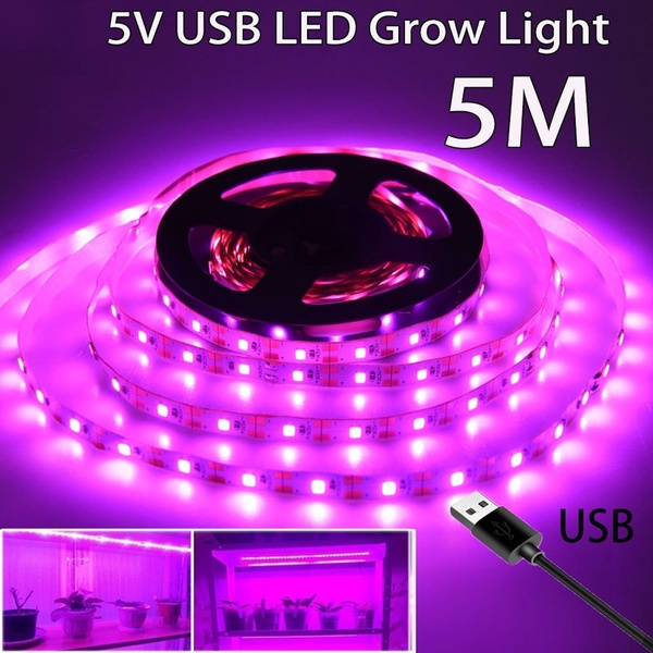 wish led grow lights