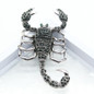 thumbnail - 1