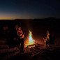 thumbnail - 10