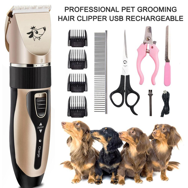 pet grooming machine