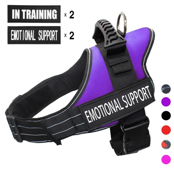 service dog harness purple