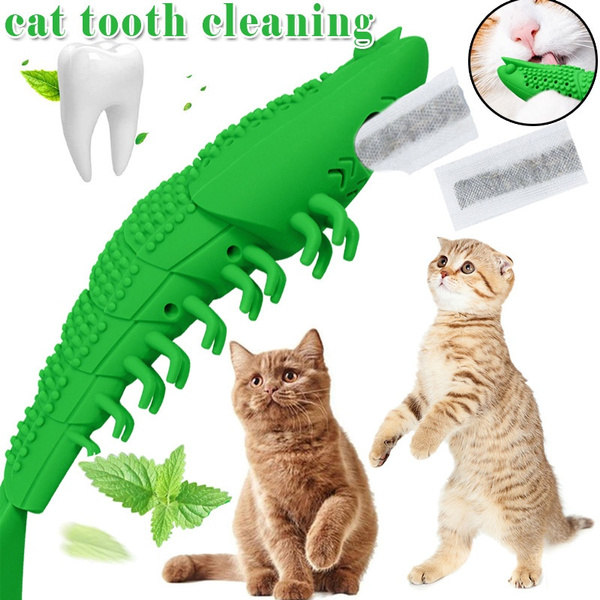 interactive cat treat toys