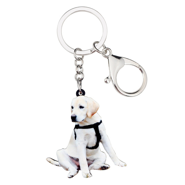 labrador accessories