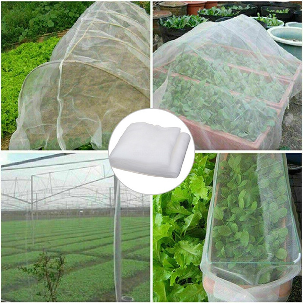 plantnet, Mini, Plants, insectnet