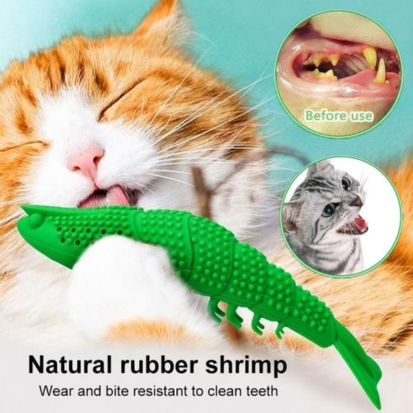 Interactive cat outlet toothbrush