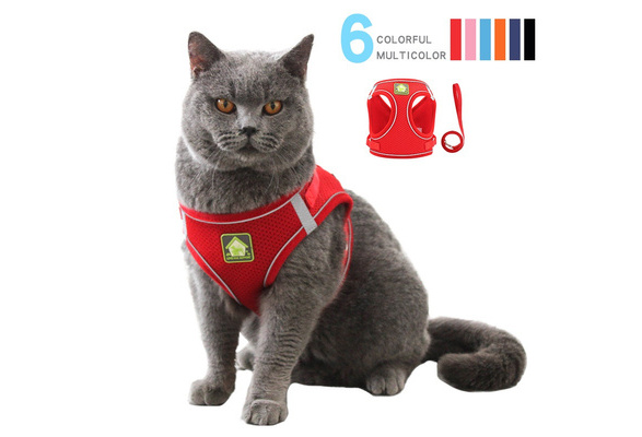 reflective cat harness