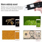 thumbnail - 6