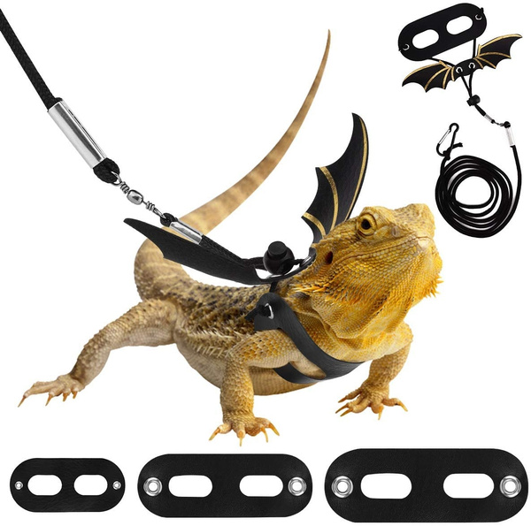 bearded dragon leash wings