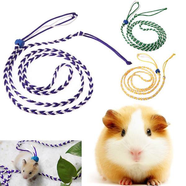 Pet rat outlet harness