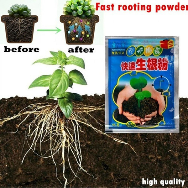 Indoor Odorless Germination Vegetables Seedling Hormone Bonsai Supplies Garden Supplies Fertilizer Root Growth Powder Manure | Wish
