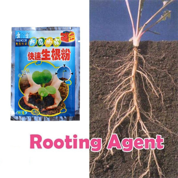 Growing Farm Vegetables Seedling Bonsai Supplies Succulent Hormone Root