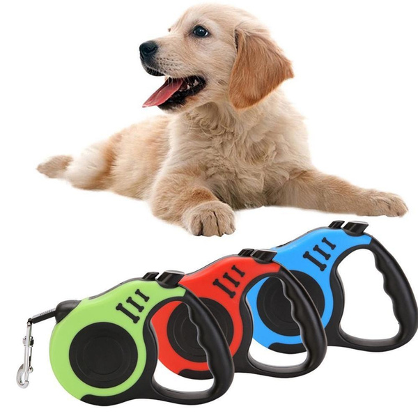 walking dog toy with lead