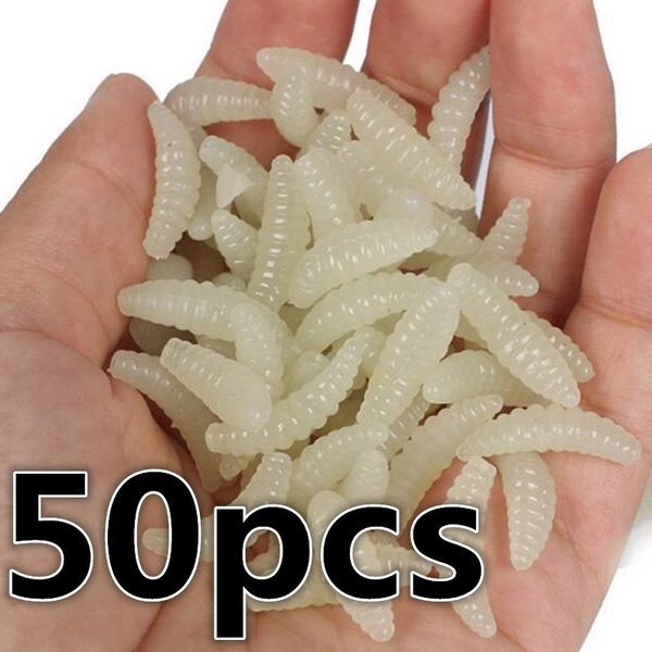 fishing maggots for sale near me