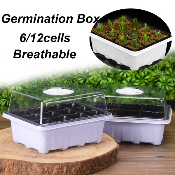Plastic Sprout Plate Nursery Pots Grow Base Germination Box Planting Tray