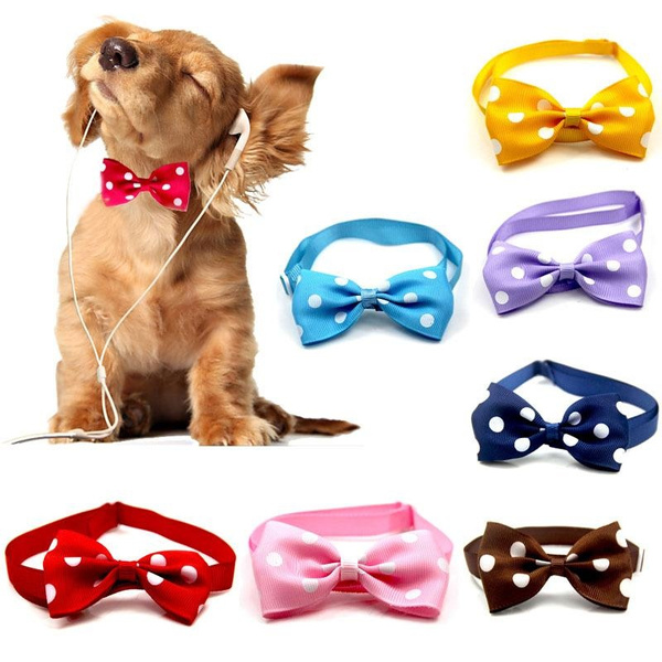 small dog bow tie