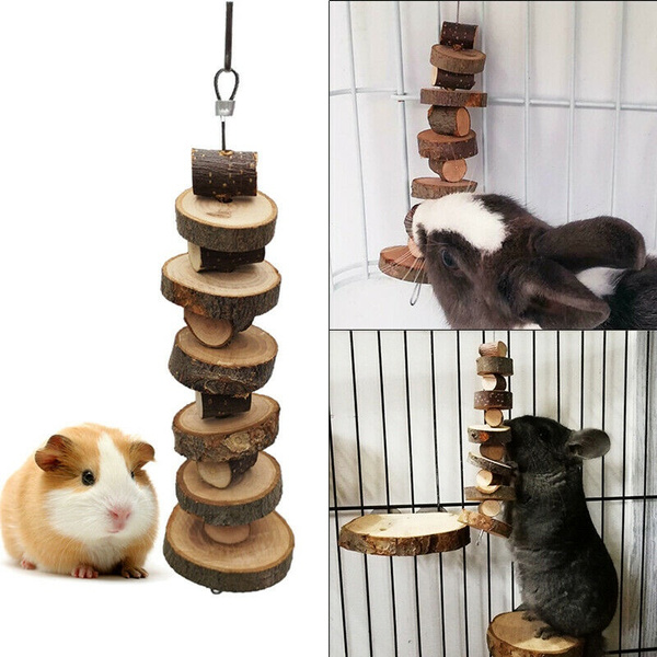 guinea pig wood chew