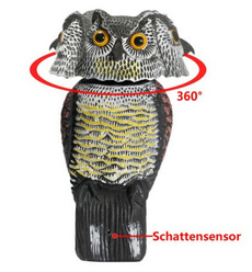 Owl, owldecoy, 360rotate, owldecoystatuerealisticscarysound